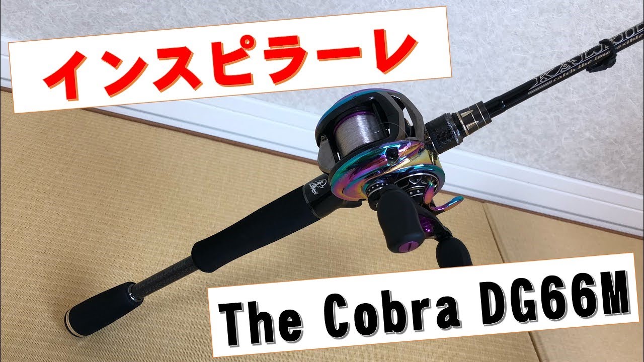 エバーグリーン インスピラーレ コブラDG 紹介 使用感など TKIC-66M-BK