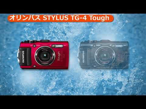 オリンパス STYLUS TG-4 Tough RED レッド | コンパクトデジタルカメラ