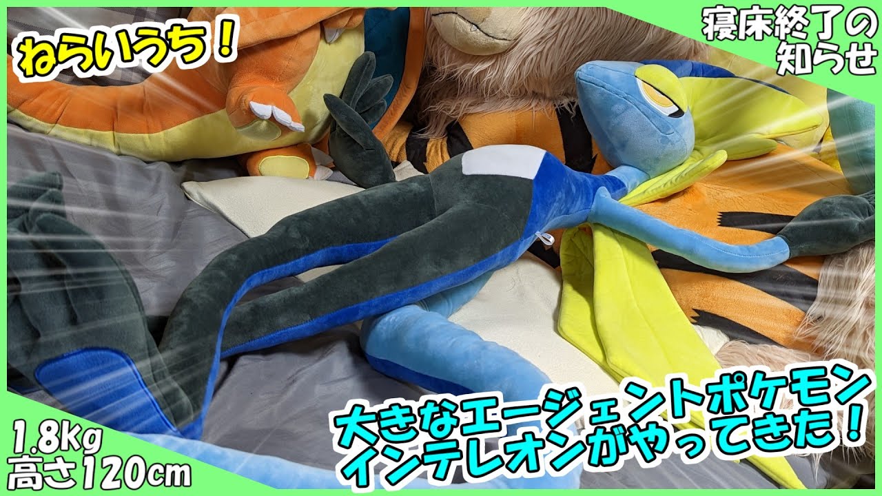 ねらいうち】大きなエージェントポケモン インテレオンがやってきた