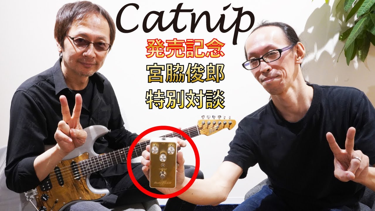 ギター BlackberryJAM Blackcurrant 海津信志 × Blackberry JAM