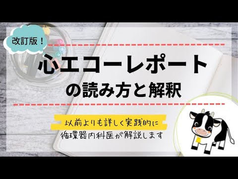 心エコーレポートの読み方(循環器内科医が解説します) - YouTube