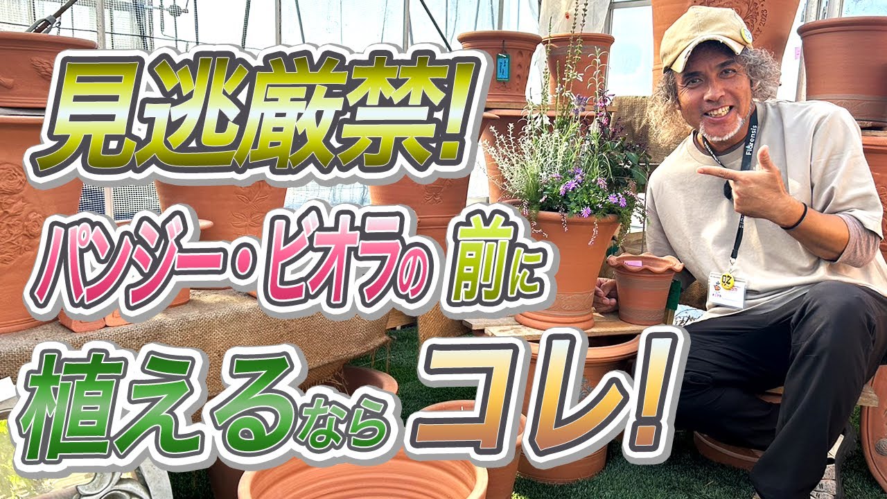 秋のお花でおしゃれ寄せ植え ガーデニング(園芸)をウィッチフォードと