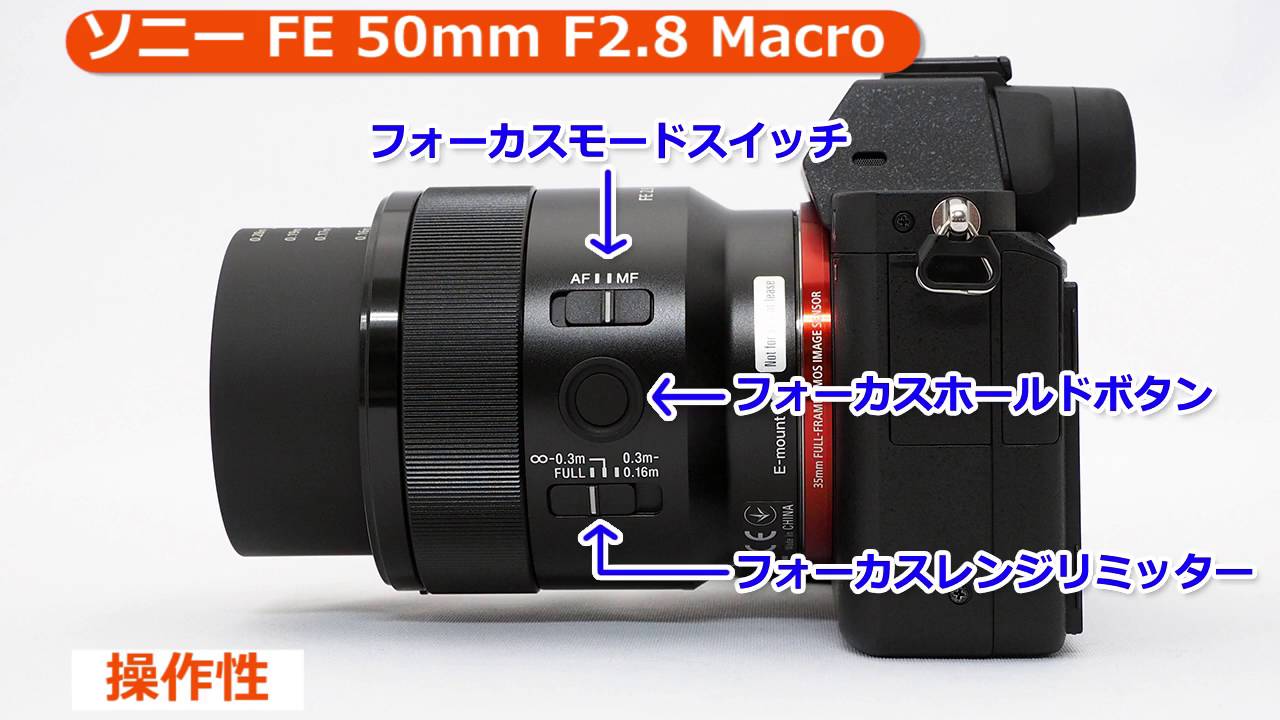 ソニー FE 50mm F2.8 Macro [SEL50M28] （カメラのキタムラ動画_SONY