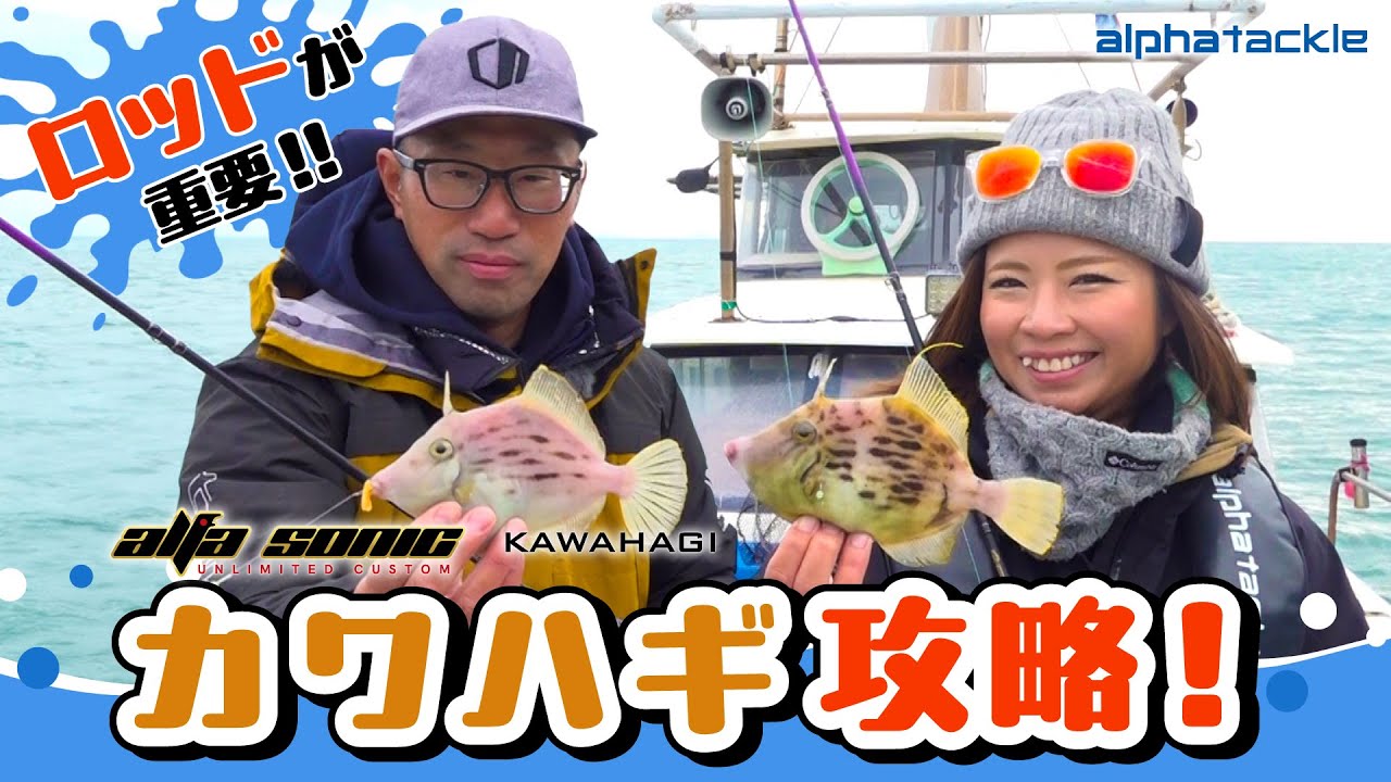 Filefish] Fishing explanation using the new Alpha Sonic Filefish