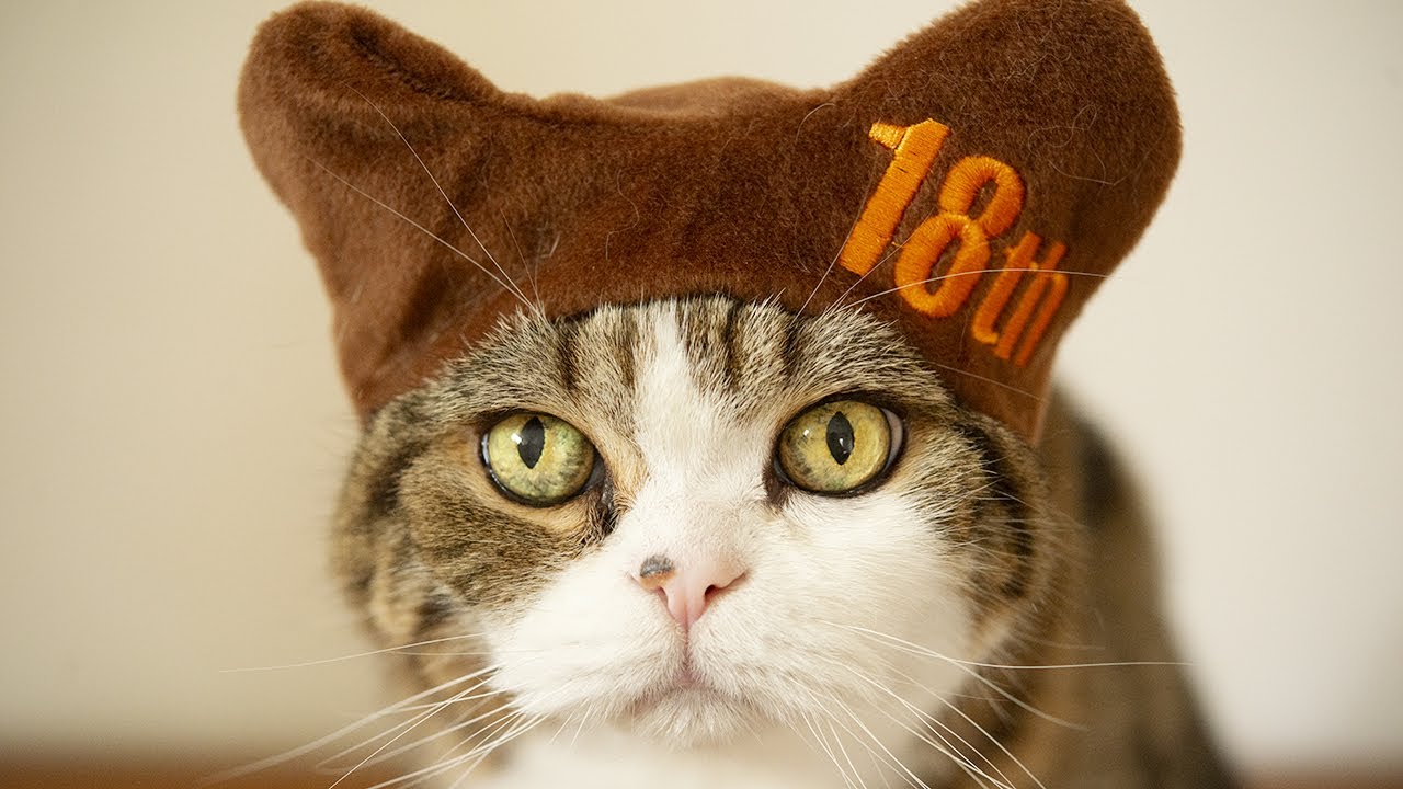 まるです18。-I am Maru 18.- - YouTube