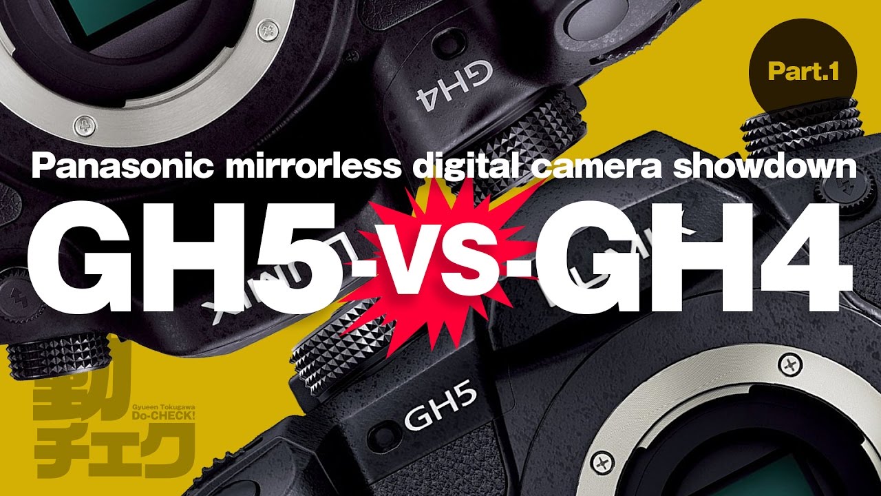 Panasonic LUMIX GH5 DC-GH5（ボディーのみ） | パンダスタジオ