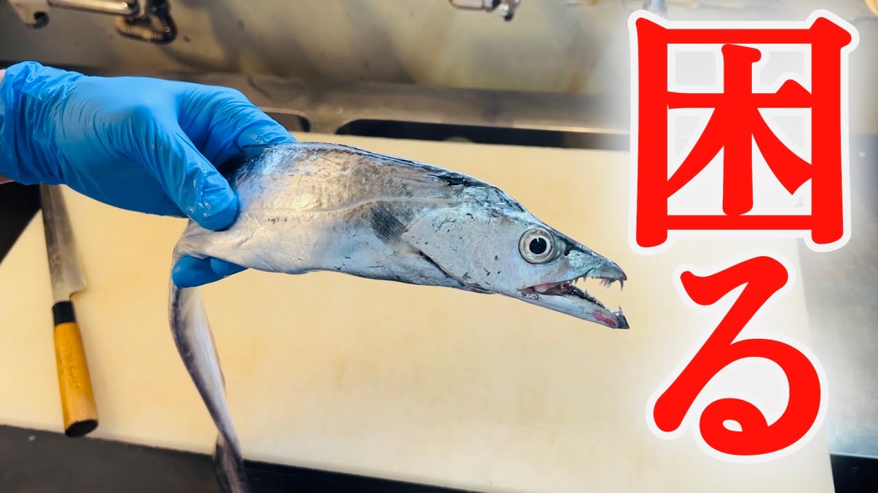 太刀魚（たちうお）のさばき方 - How to filet Cutlassfish -お刺し身