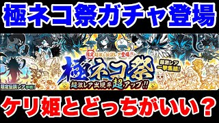 The Extreme Cat Festival Gacha is here! Explaining which should