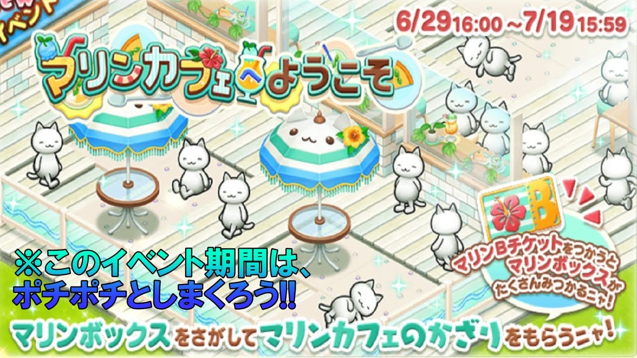 星の島のにゃんこ】次のイベントは、マリンカフェ！？建物がオシャレ