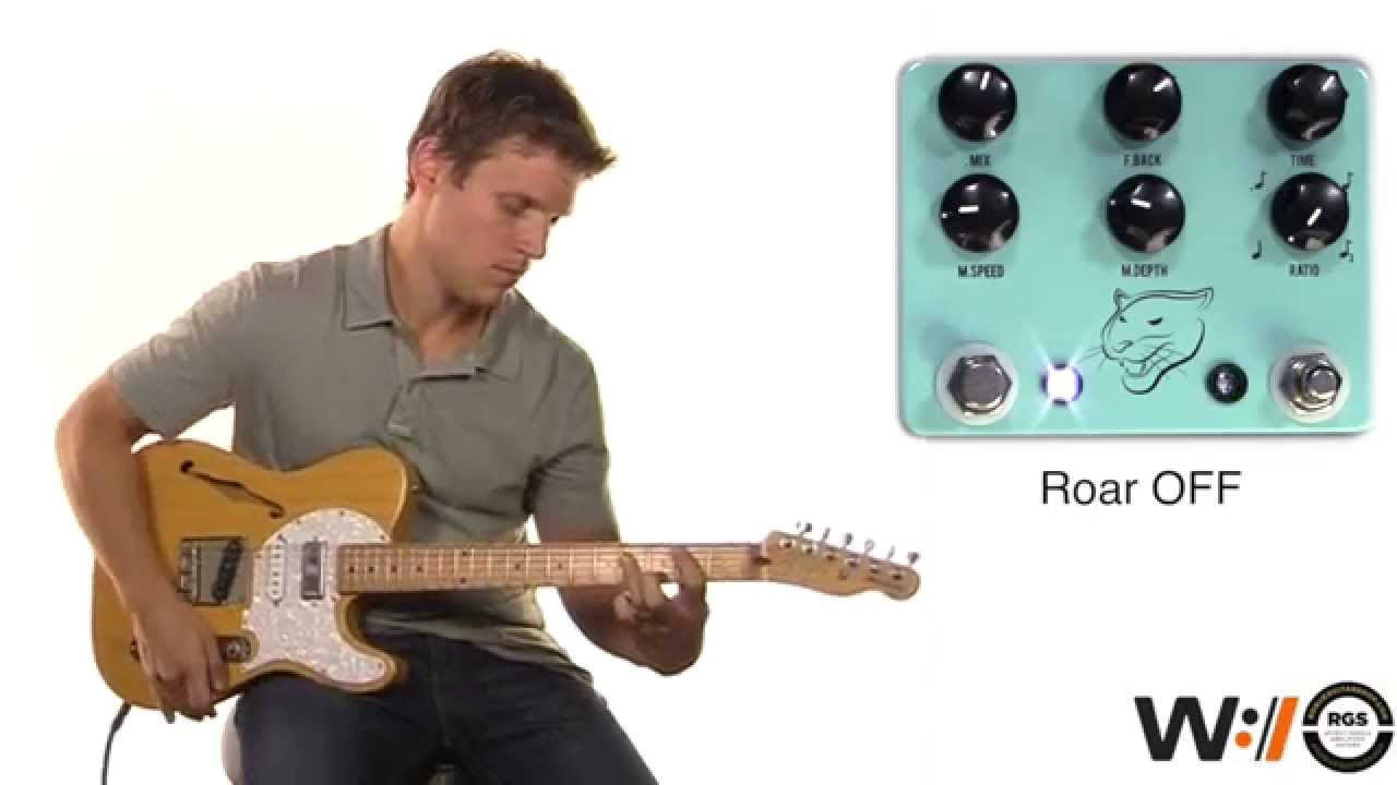 JHS Panther Cub Delay Pedal Demo and Tutorial - YouTube