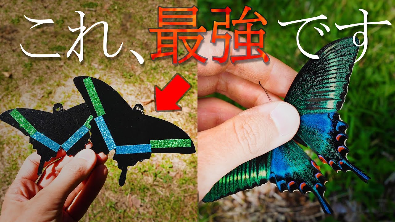 The Secret Trap That Attracts Beautiful Butterflies: Unveiled