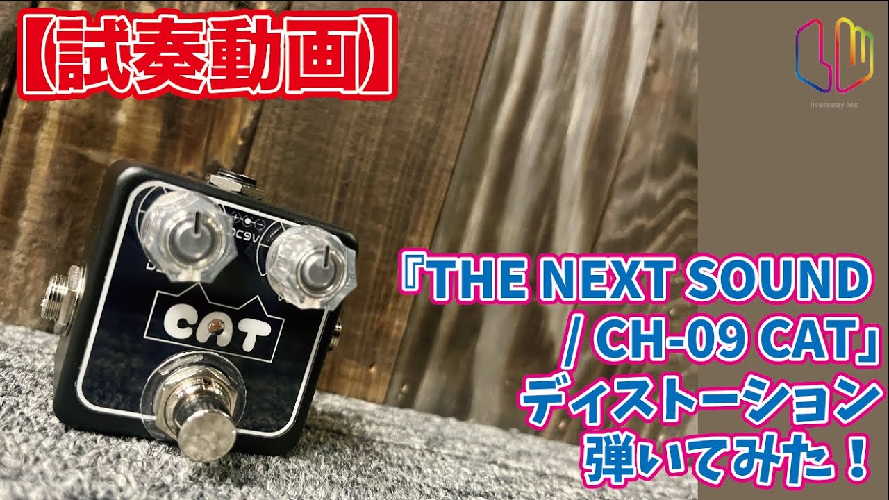 試奏動画】『THE NEXT SOUND / CH-09 CAT』ディストーション弾いてみた