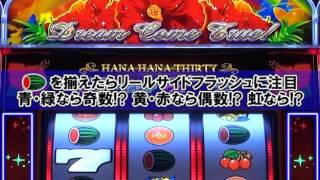 ドリームハナハナ‐30 パチスロ スロット 機械割 天井 初打ち 打ち方