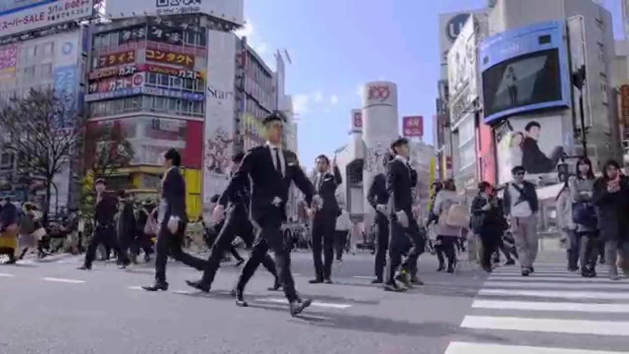 WORLD ORDER PERFORMANCE VIDEO COLLECTION - NamuWiki