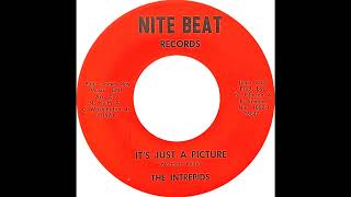 Intrepids - It's Just A Picture - YouTube