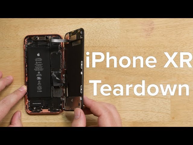 iPhone XR Teardown! - YouTube