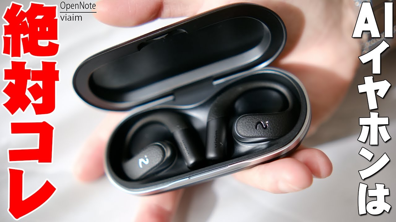 Meeting minutes disappear] AI earphones 