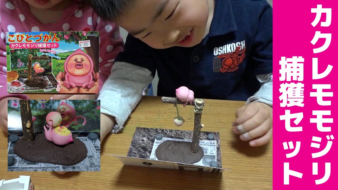 カクレモモジリ捕獲セットで遊ぶ - YouTube