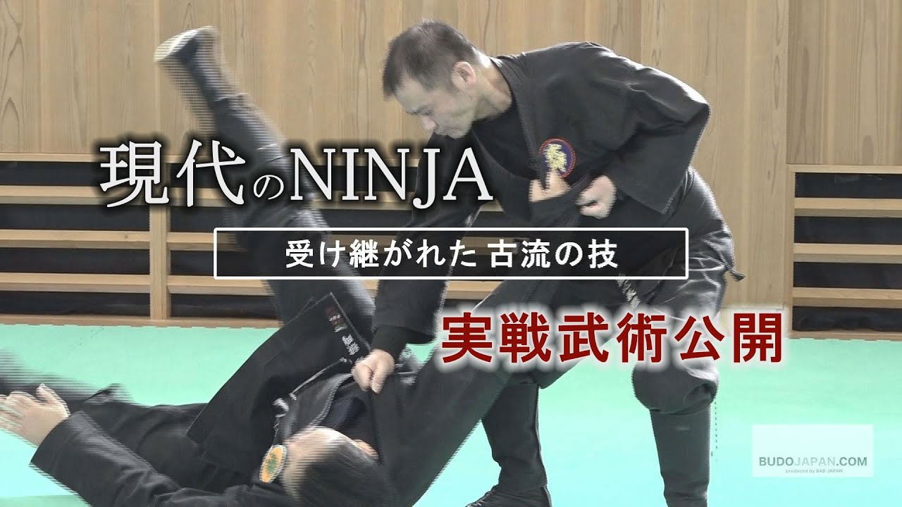 DVD 武神館の武術 第二巻 投げ・関節技編