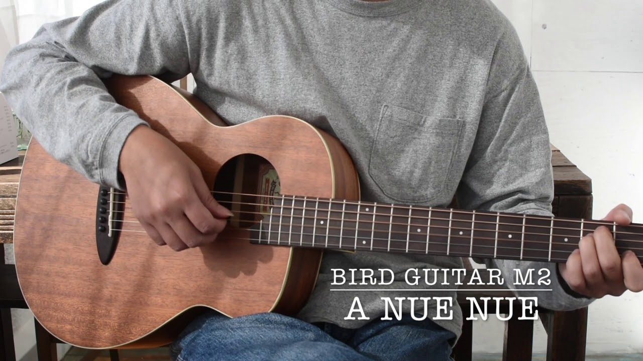 aNueNue Bird Guitar aNN-M2 | Quiet Village