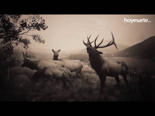 Hiroshi Sugimoto. Black Box - YouTube