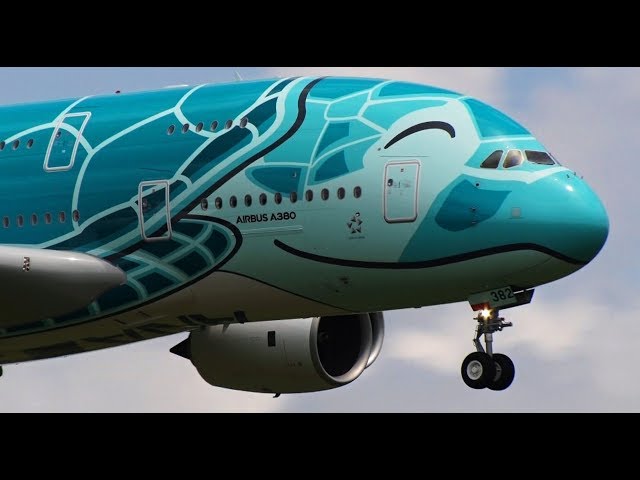 ✈✈速報 Delivery Flight フライングホヌ 二号機「笑顔のウミガメ