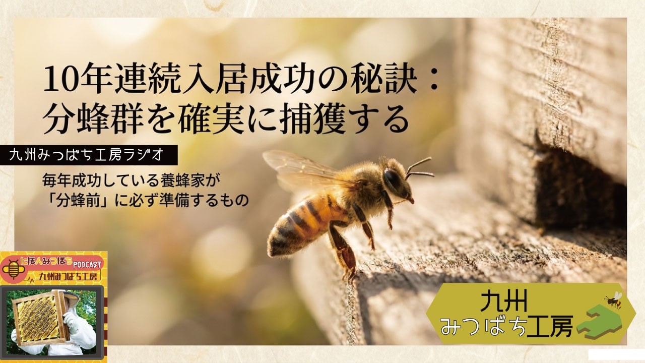 巣クズを蜜蝋にしよう【二ホンミツバチ飼育Q&A】 - YouTube