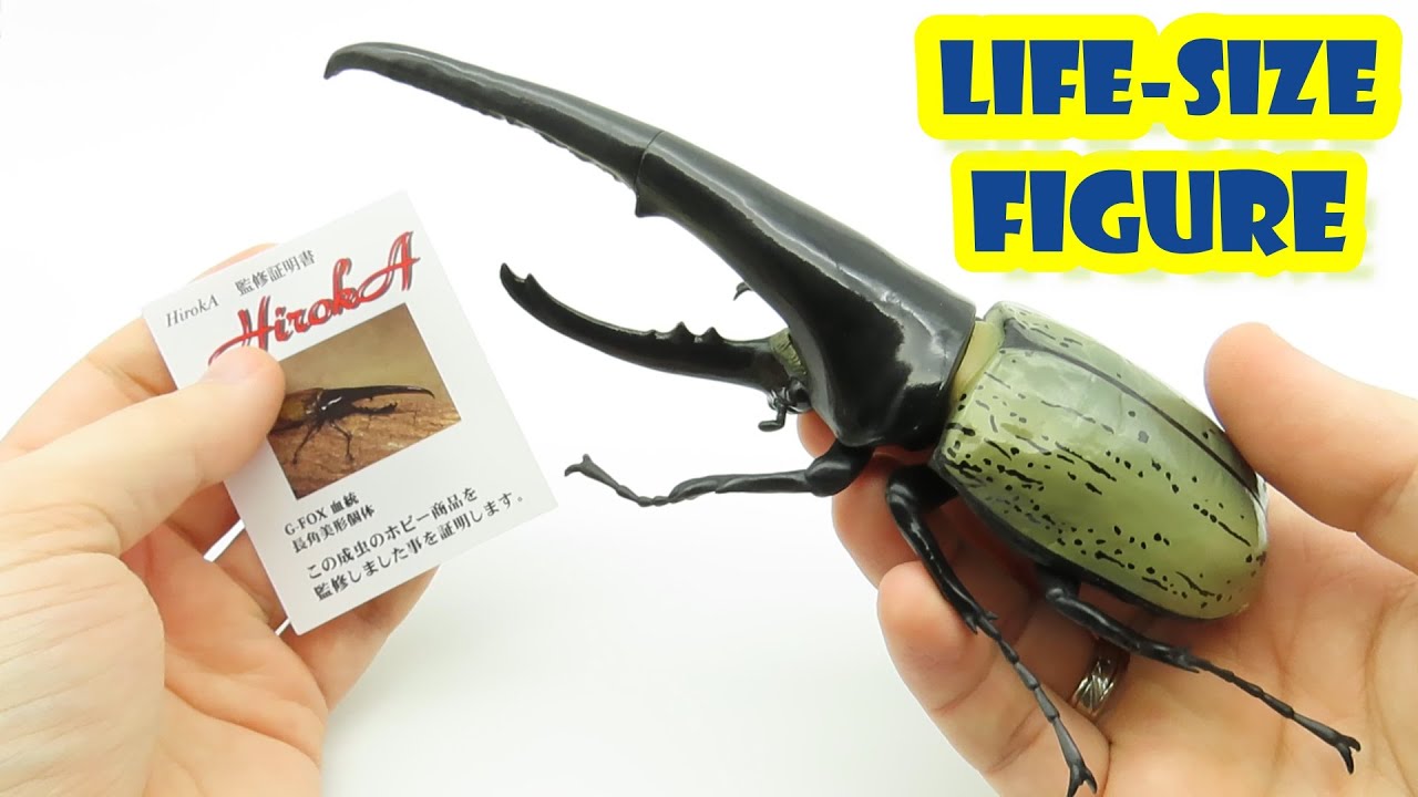Unboxing 1 RANDOM Dynastes Hercules Large Beetle 1/1 scale Figure