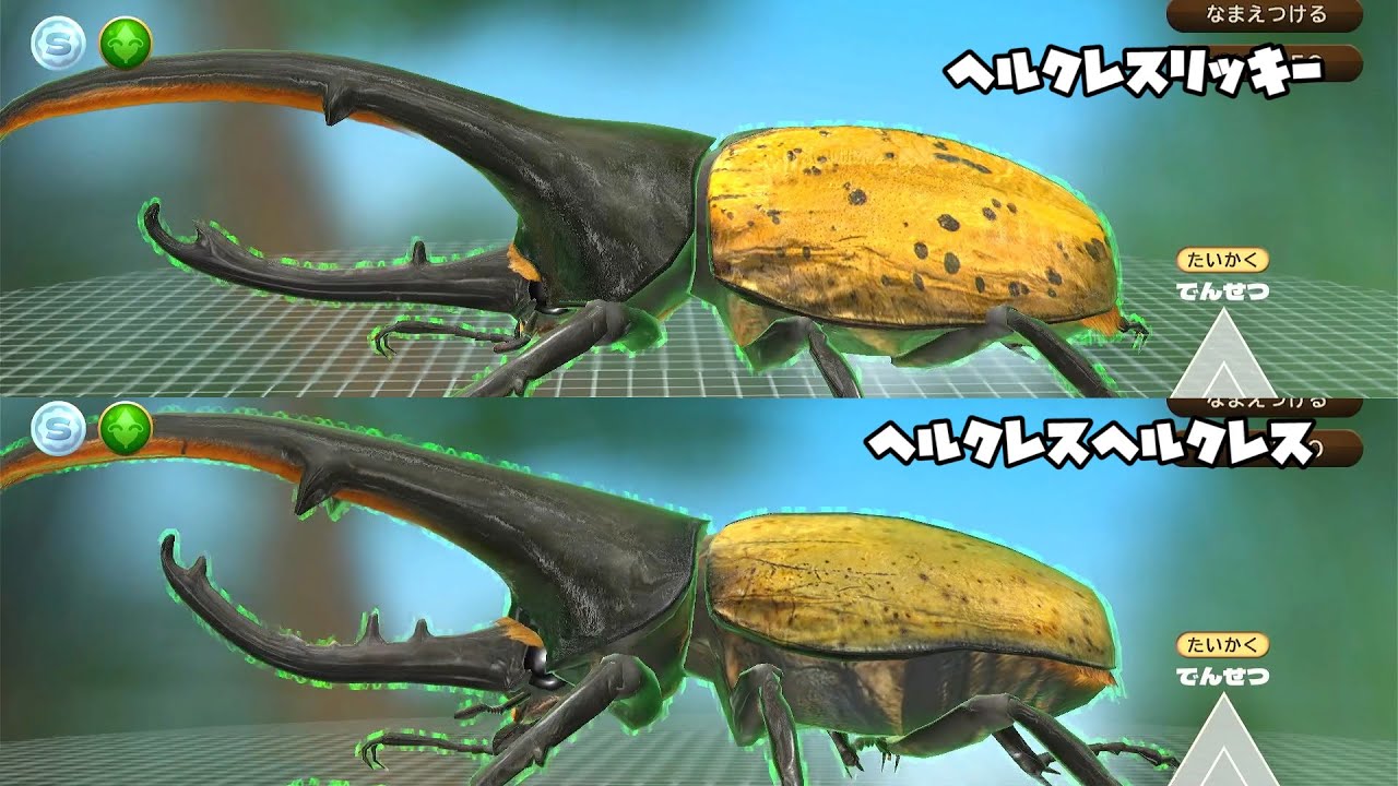 カブトクワガタ - 原種のヘルクレスオオカブト登場! ヘルクレス