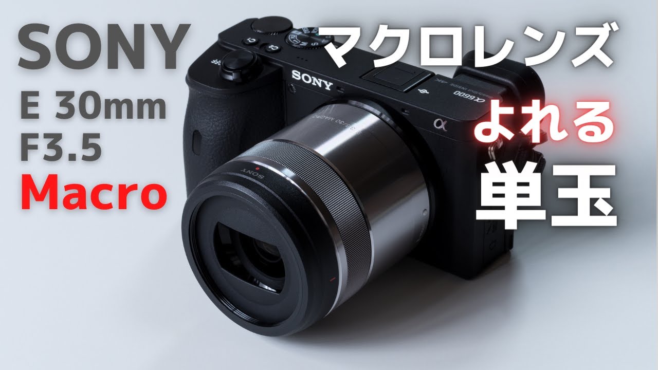 SONY E 30mm F3.5 Macro をスチル目線でレビューします。α6600