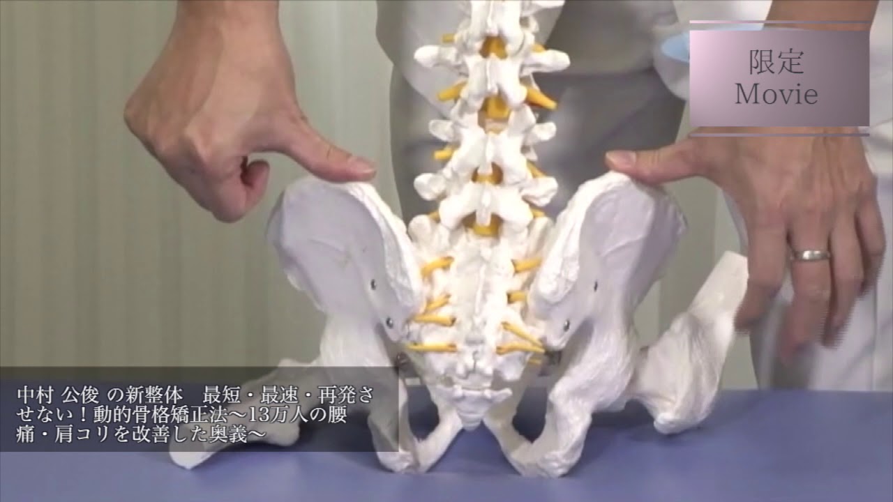 新整体 最短・最速・再発させない！動的骨格矯正法 | 医療情報研究所