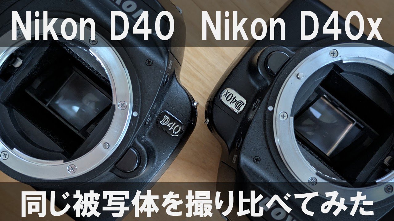 Nikon D40，Nikon D40x｜同じ被写体を撮り比べてみた - YouTube