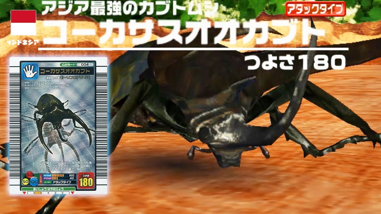 ムシキング コーカサスオオカブト 「韓国版」 ムシキング コーカサス