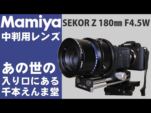 Mamiya medium format camera lens and bellows 