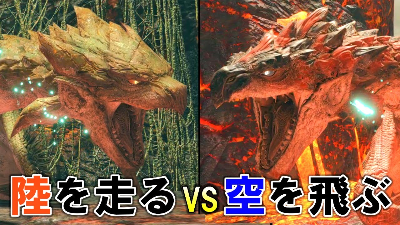 モンハンライズ】陸の女王リオレイア VS 空の王者リオレウス（操竜競走