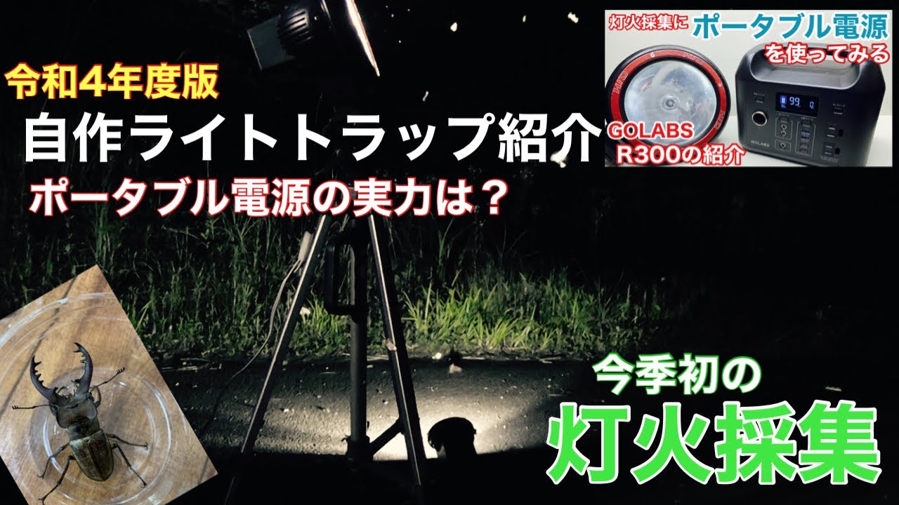 令和4年度版】自作ライトトラップの紹介～今季初灯火採集！ミヤマも