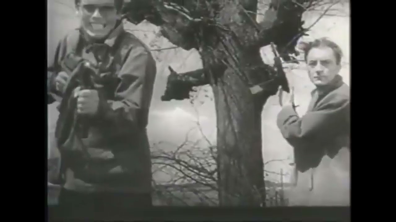 アンジェイ・ワイダ 「抵抗三部作」 『地下水道』｜Rena