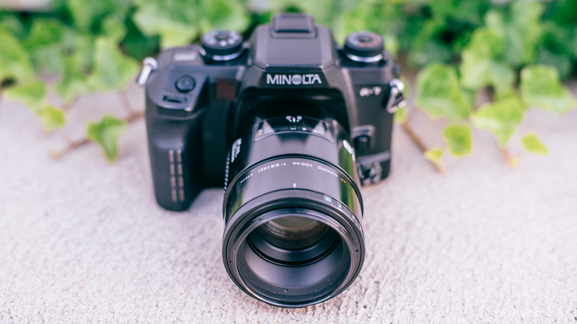 Minolta AF Macro 100mm F/2.8 A Mount Lens Review - Spoiler : It's