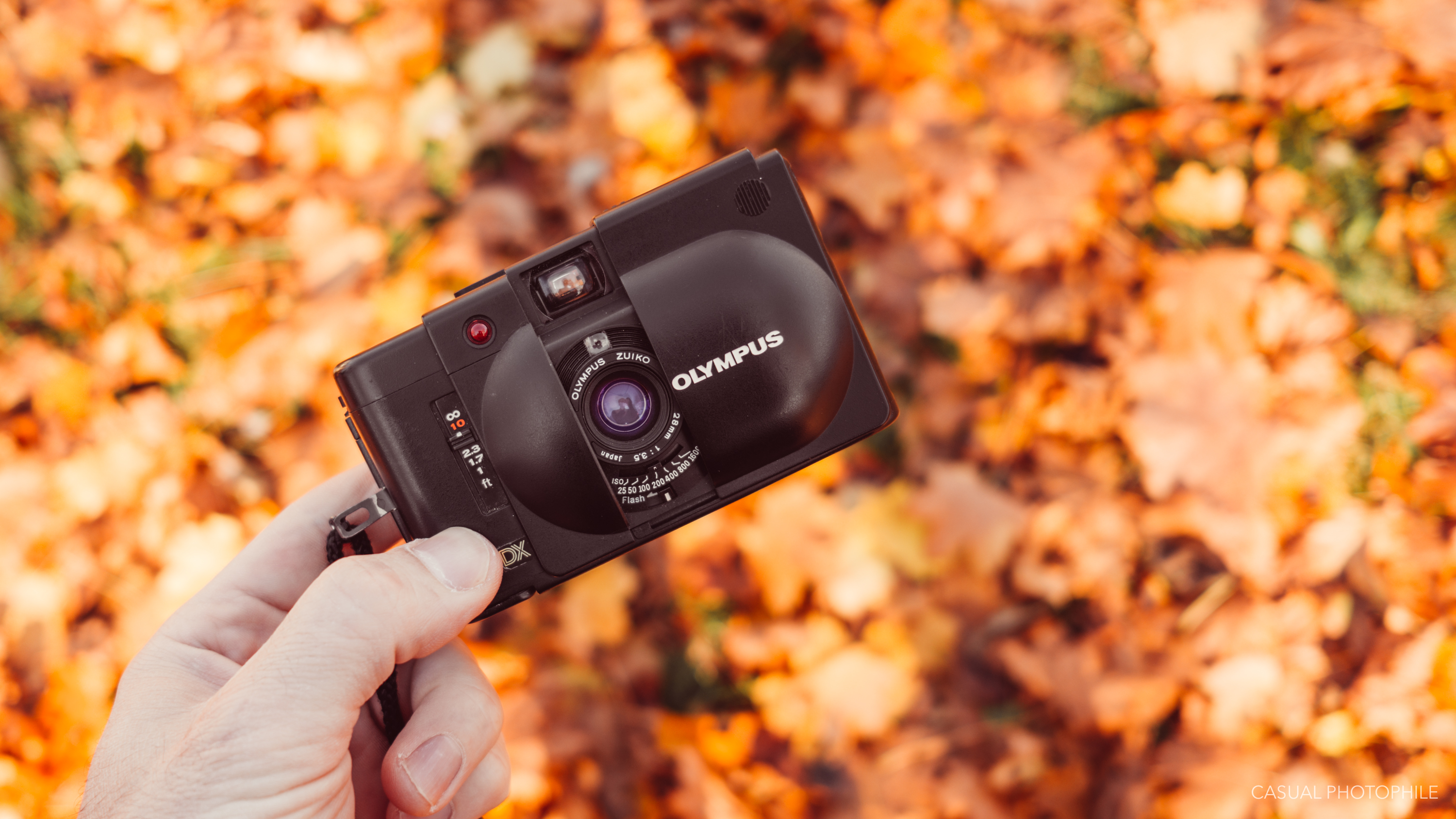 Olympus XA4 Macro Review - Great Things in Small Packages