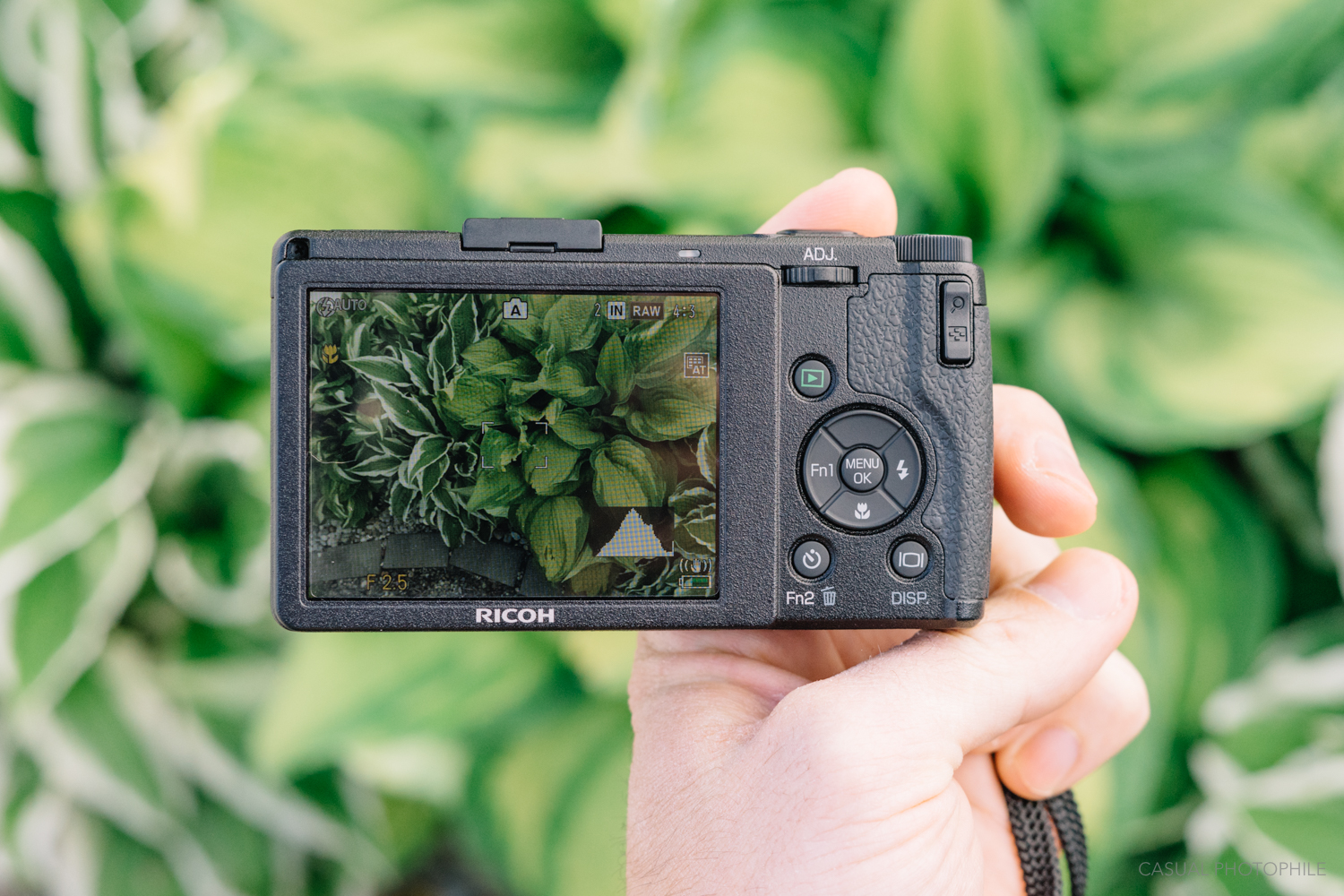 Ricoh GRD IV Digital Point and Shoot Camera Review - Casual Photophile