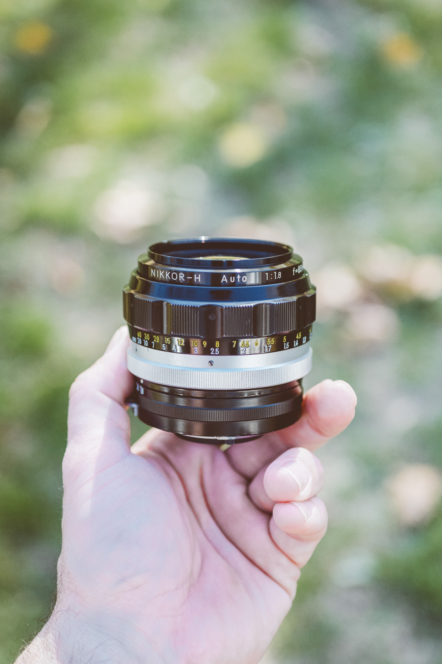 Nikon Nikkor H Auto 85mm f/1.8 (1964-1977) Lens Review - Casual
