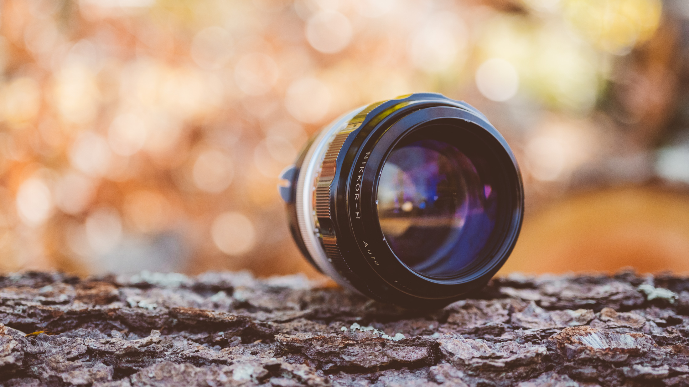 Nikon Nikkor H Auto 85mm f/1.8 (1964-1977) Lens Review - Casual
