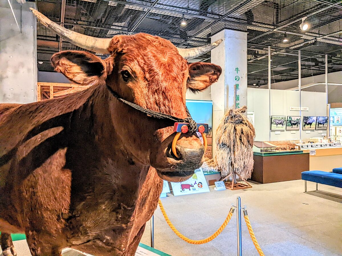 ウシだらけの個性派ミュージアム『牛の博物館』（奥州市） | シマグニ