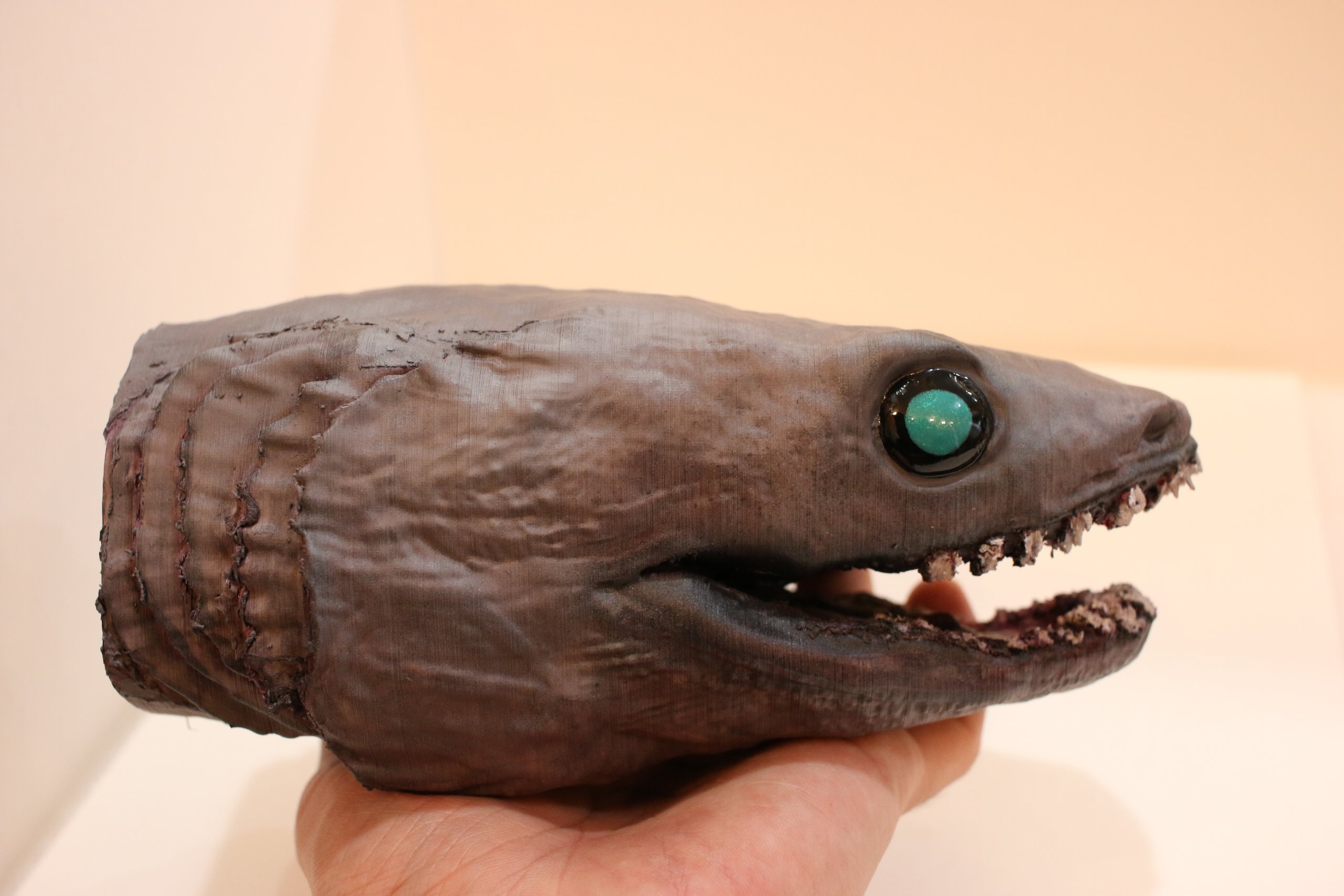 深海のサメで有名な ラブカ の模型を作製しました！ | アンフィ合同