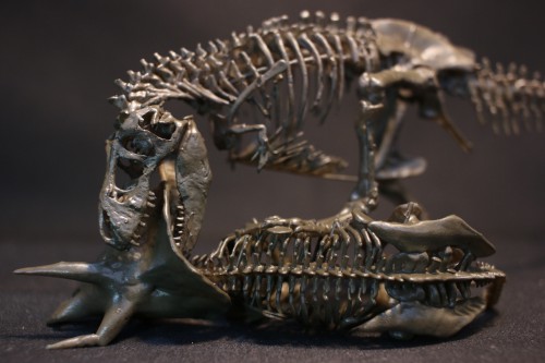 全身骨格レプリカ | アンフィ合同会社 ＆ レプリカをつくる博物館