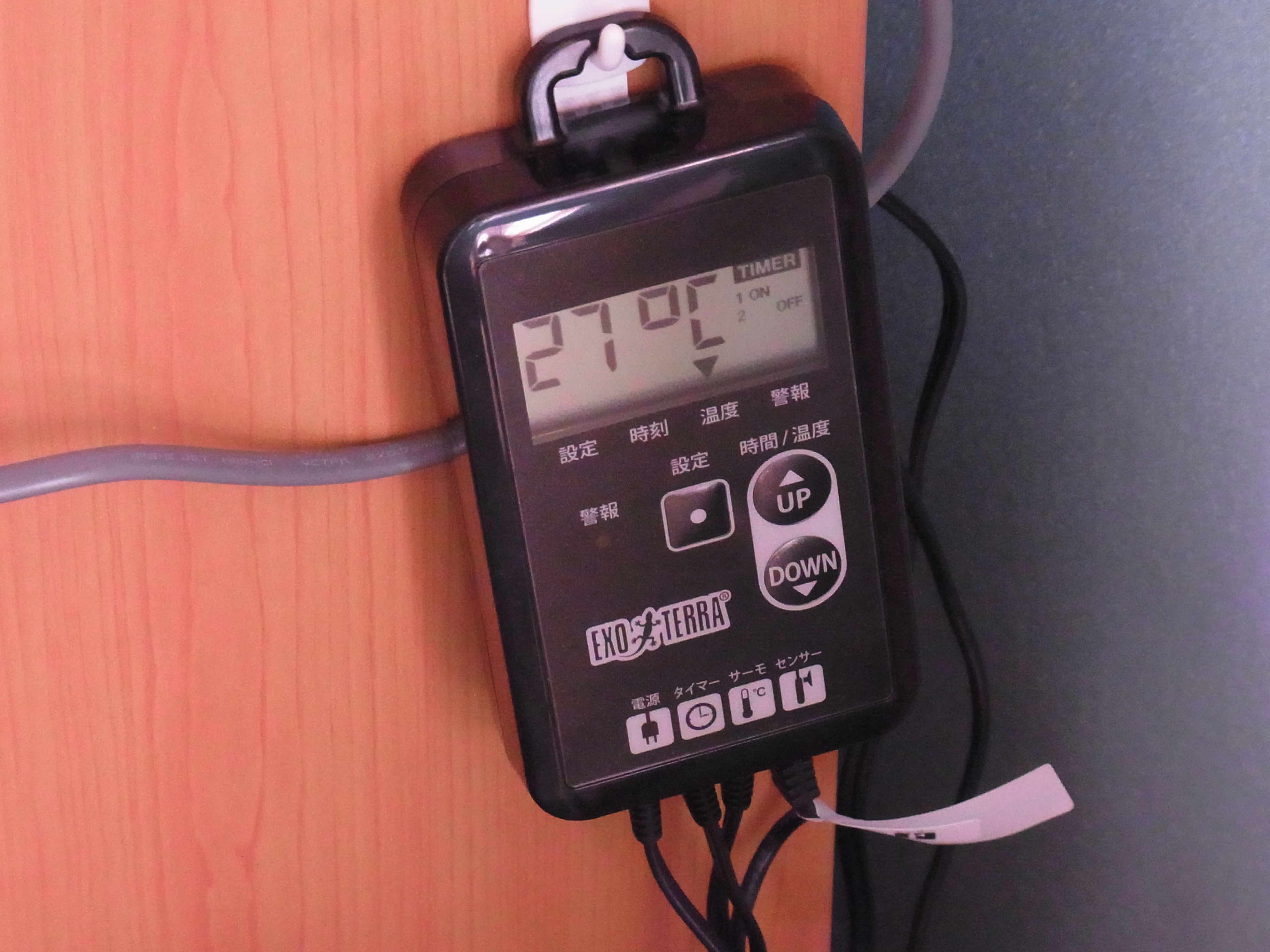 爬虫類飼育の必需品！タイマーサーモで温度と照明を一元管理