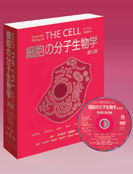 細胞の分子生物学/Molecular Biology of the Cell | Chem-Station