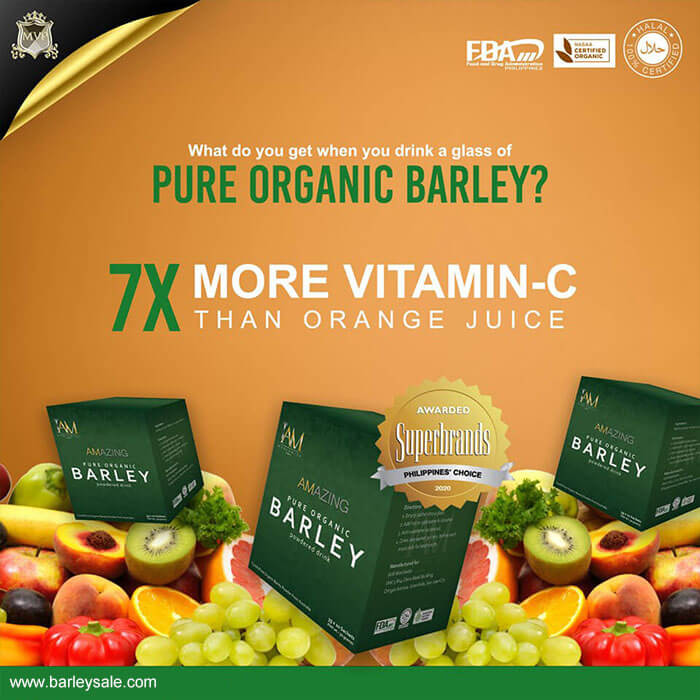 Original Barley 3 BOXES - BARLEY SALE