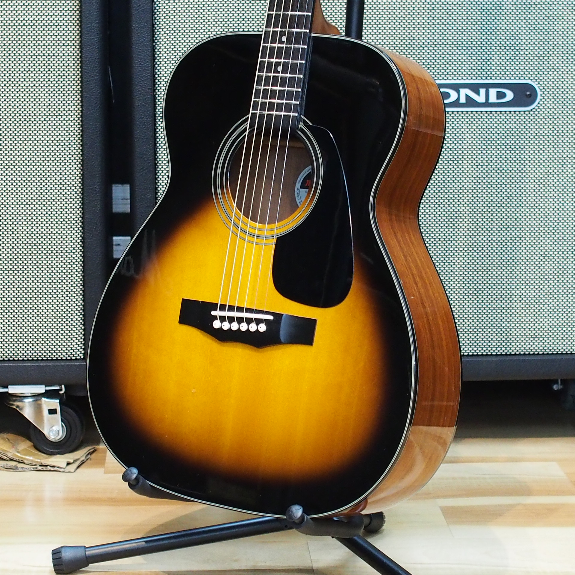 買取情報】小ぶりで扱いやすい、エントリーモデルに最適なモーリスの