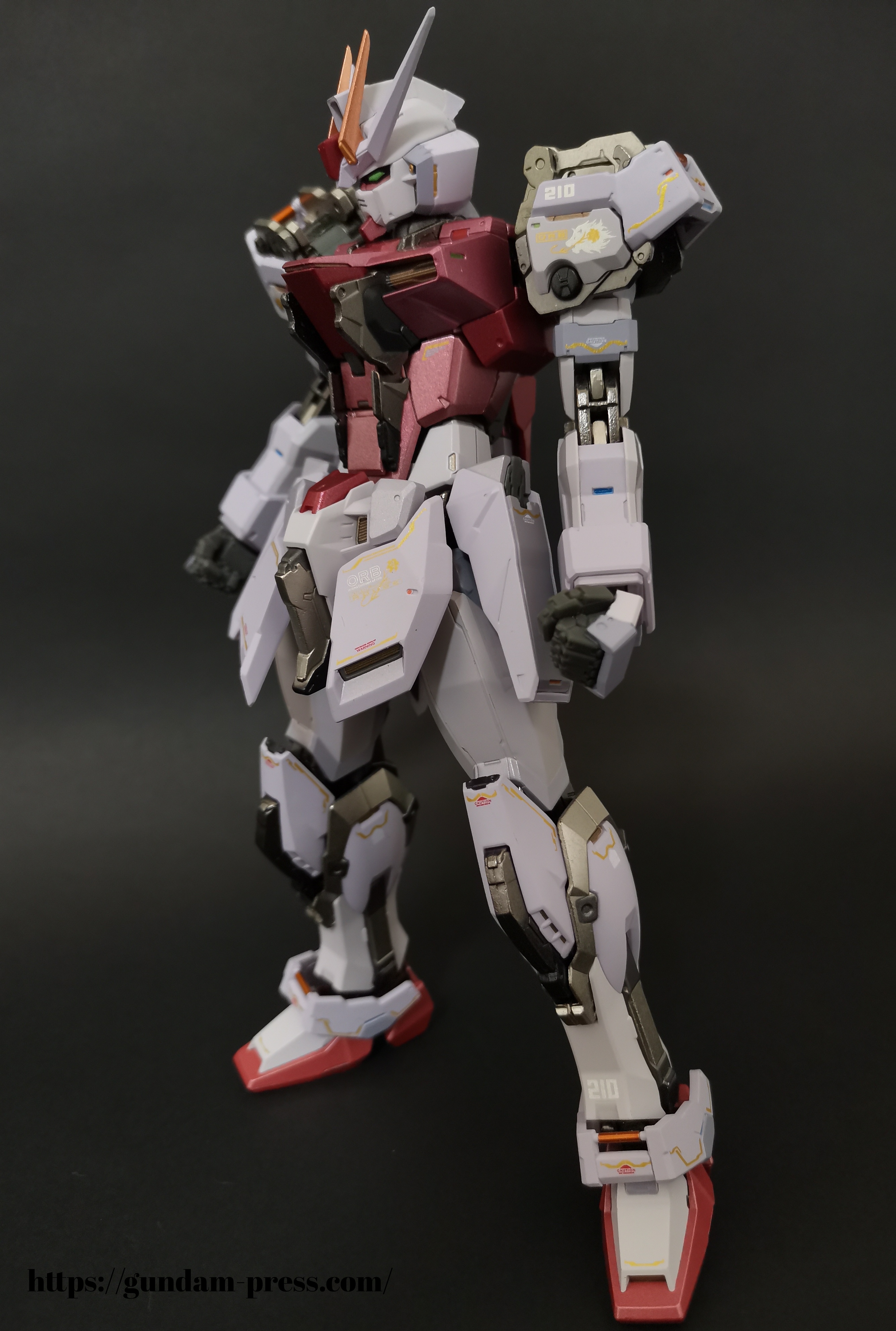 METAL BUILED(メタルビルド) ストライクルージュ オオトリ装備